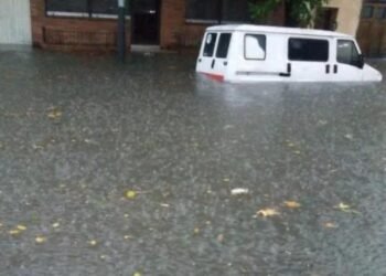 Temporal en CABA: árboles caídos, calles anegadas y vuelos desviados