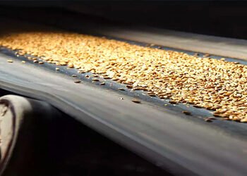 El campo cumple: Volumen récord y logística aceitada en los puertos de Rosario.