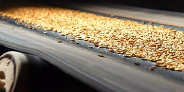 El campo cumple: Volumen récord y logística aceitada en los puertos de Rosario.