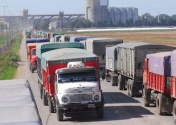 La cosecha de trigo aporta el primer puente de dólares para el verano