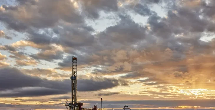 Vaca Muerta a Pleno: Noviembre marca un récord absoluto de exportaciones de crudo y gas.