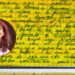 El testimonio de Diego Cabot puso en jaque el origen de la Causa Cuadernos.