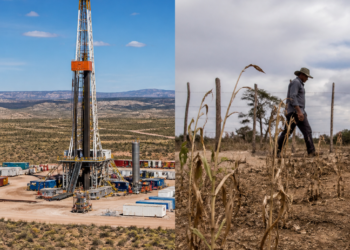 Neuquén destaca en el ranking productivo, mientras el noreste enfrenta desafíos