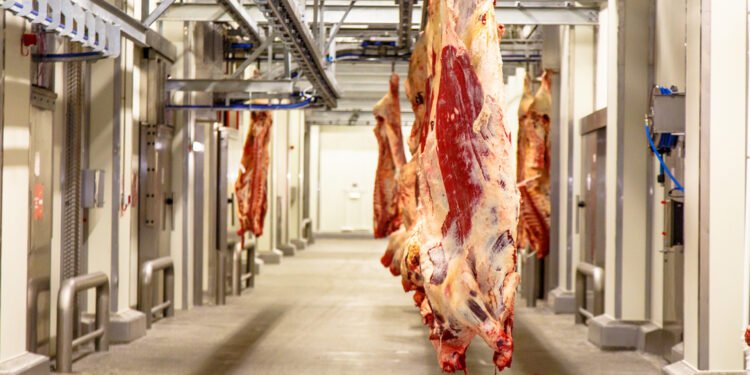 Exportaciones de carne argentina alcanzan niveles récord en mayo, superando los US$ 1.800 millones en el año