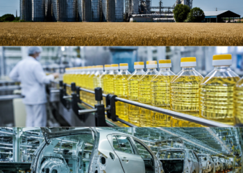 Multinacionales diversifican giros de utilidades al exterior tras la eliminación del cepo