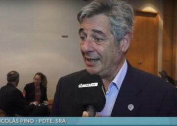 Nicolás Pino aboga por una reducción de impuestos en el sector agrícola: “A mí me encantaría que las retenciones sean cero hoy”