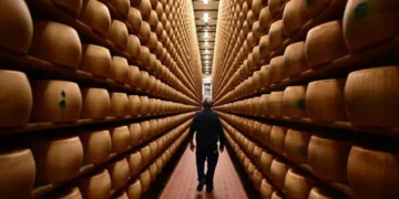 Los bancos de queso: un negocio de millones afectado por el calor extremo