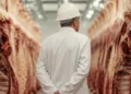 El futuro de la carne argentina: ¿un líder en el mercado o un actor secundario?