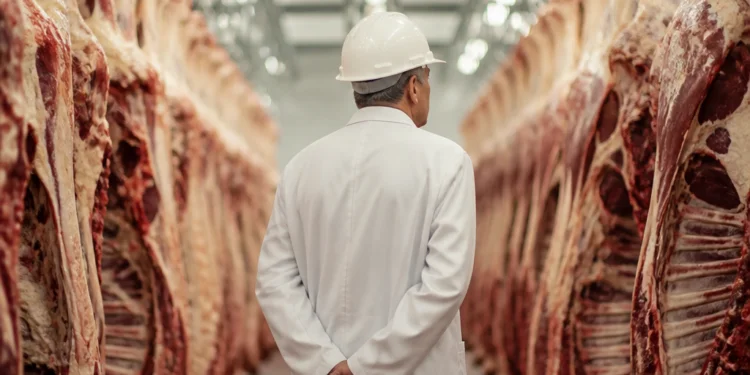 El futuro de la carne argentina: ¿un líder en el mercado o un actor secundario?