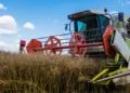 Cosecha y dólares: más de US$9000 millones en granos pendientes de venta