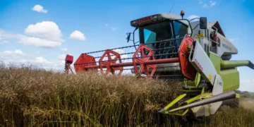 Cosecha y dólares: más de US$9000 millones en granos pendientes de venta