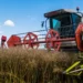 Cosecha y dólares: más de US$9000 millones en granos pendientes de venta