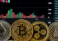 Criptomonedas: cotizaciones de las principales divisas digitales al 20 de octubre